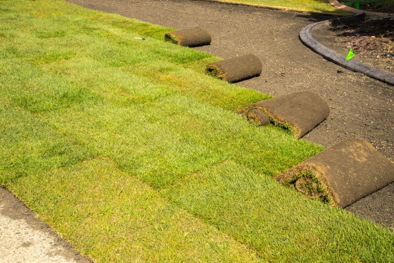 Commercial Sod Installation