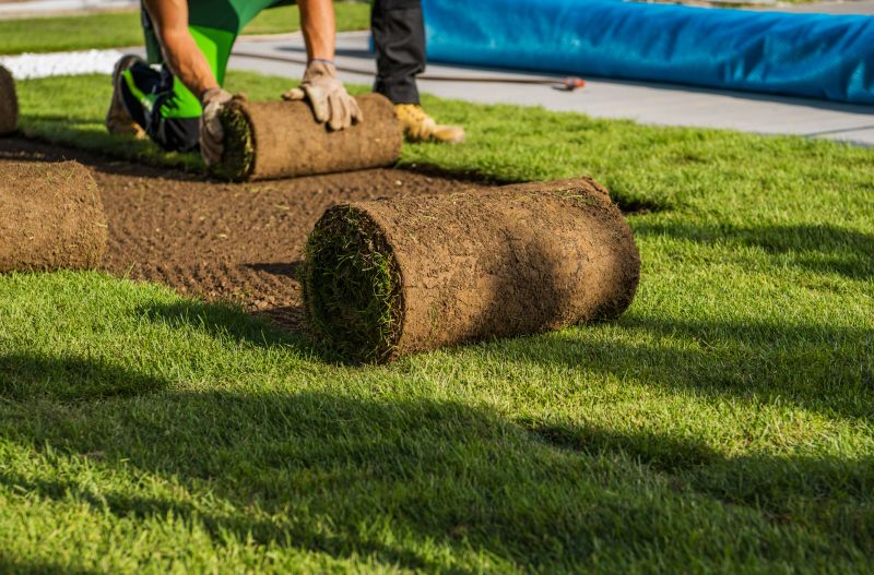 Spring Sod Installation