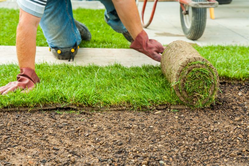 Contact About Sod Laying